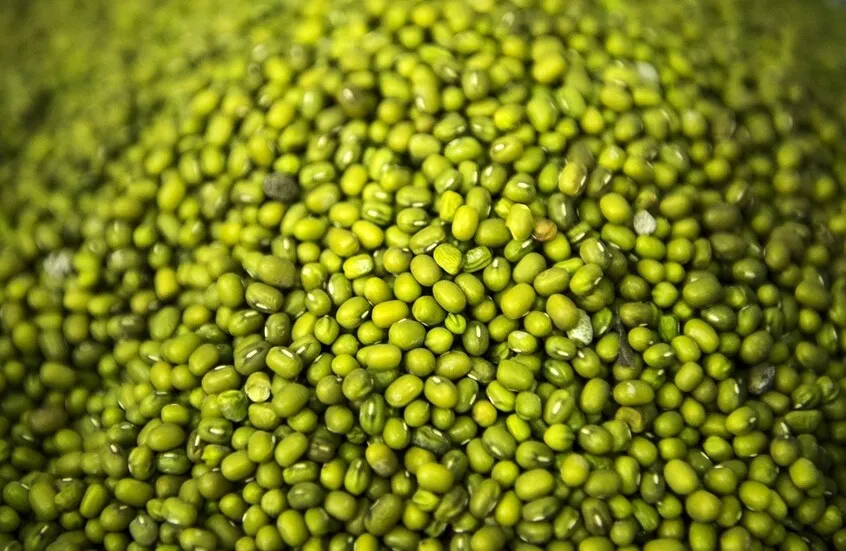 خبيرة تغذية تشير إلى منتج يحسن عمل القلب ويخفض مستويات الكوليسترول